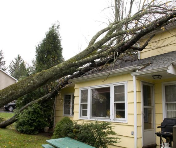 iStock_24828805_LARGE1-32666984ede192dc64a1aa88c4b9ffeec4d6b54a